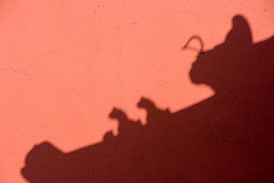 Wegame2023：战斗RPG《白荆回廊》预告 预约开启